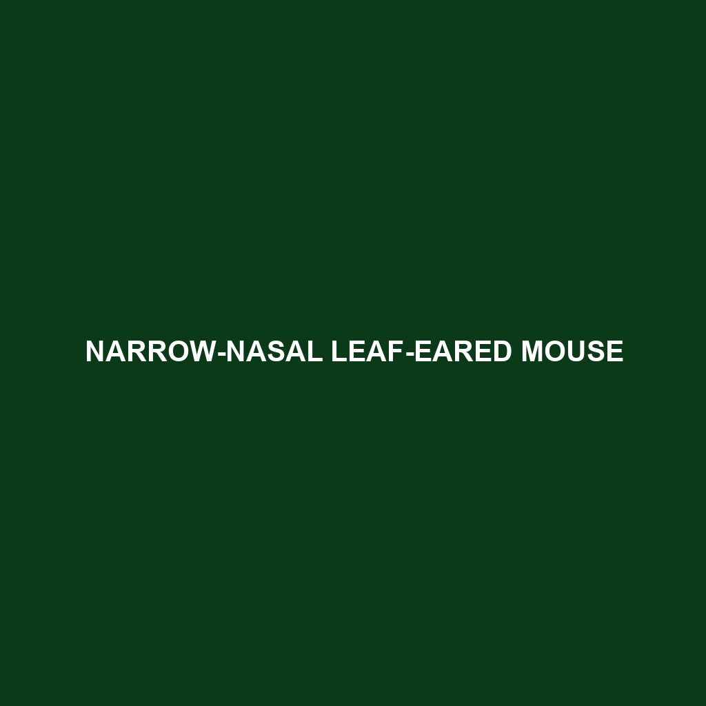 Narrow-nasal Leaf-eared Mouse