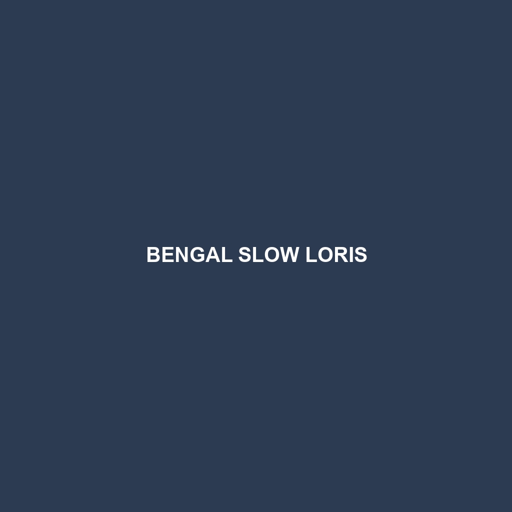 Bengal Slow Loris