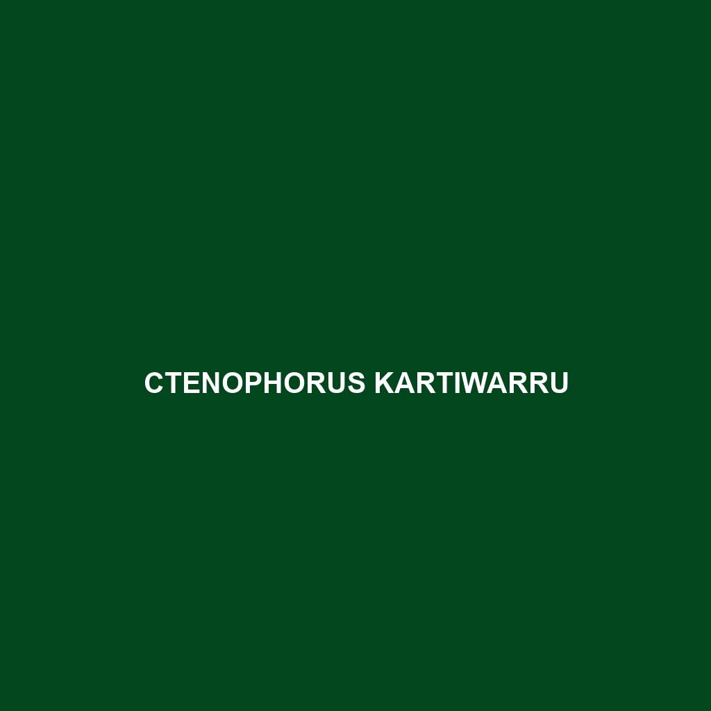 Ctenophorus kartiwarru