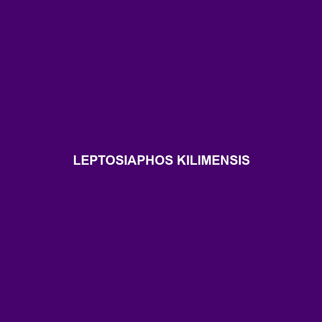 Leptosiaphos kilimensis