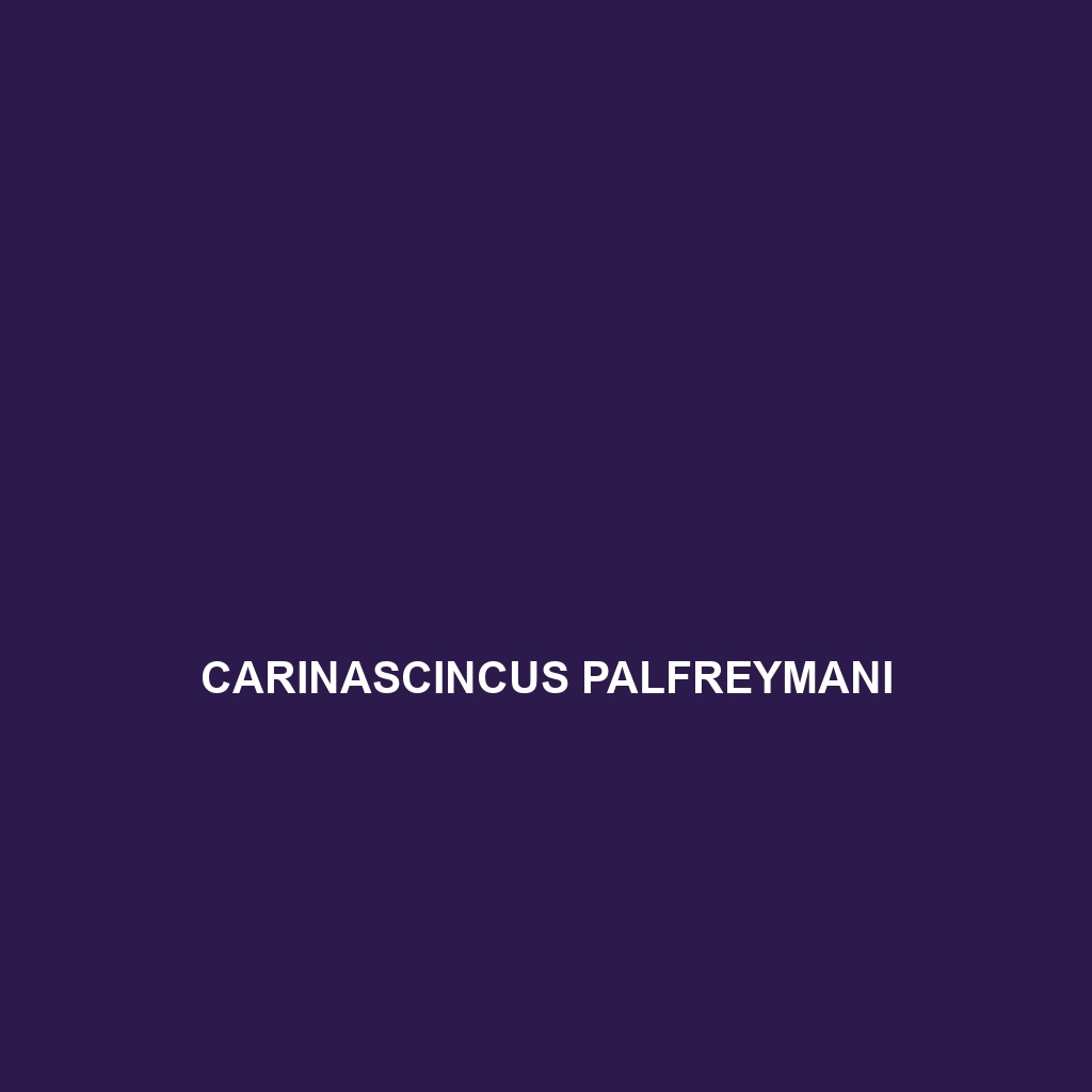 Carinascincus palfreymani