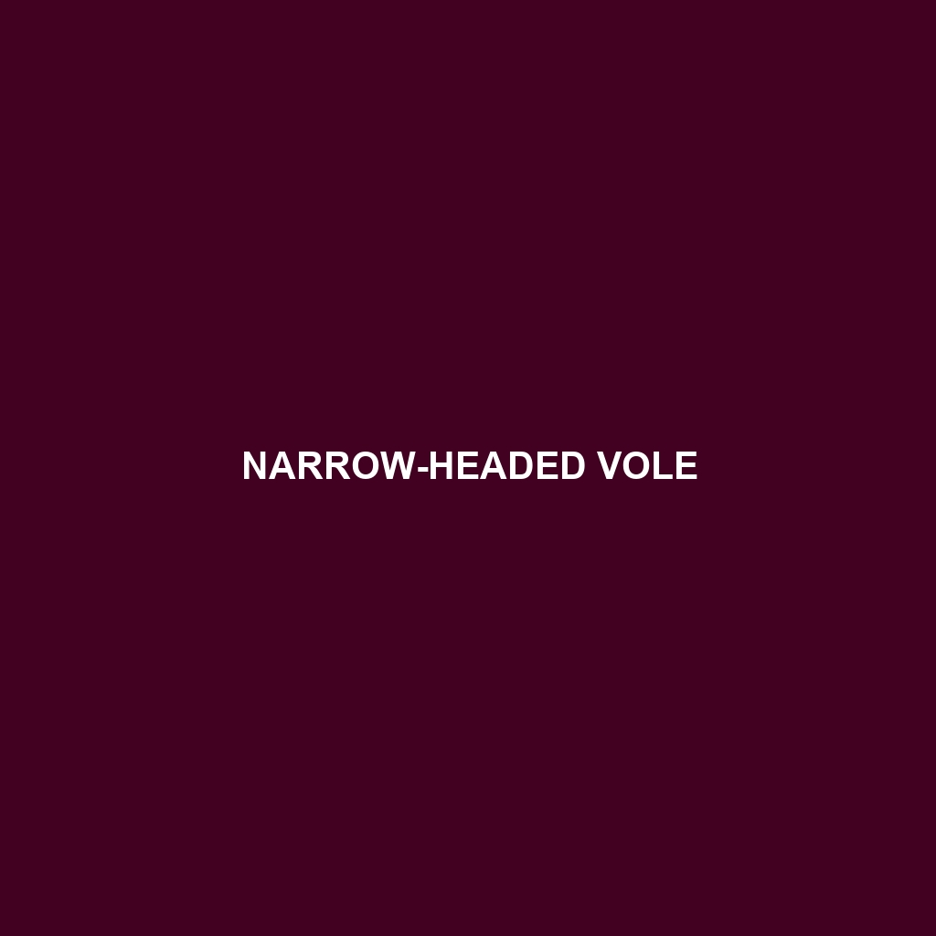 Narrow-headed Vole