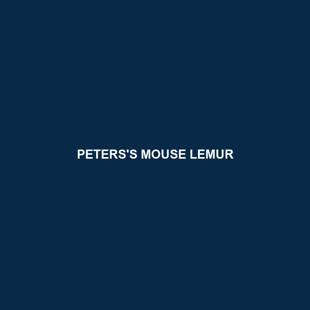 Peters's Mouse Lemur