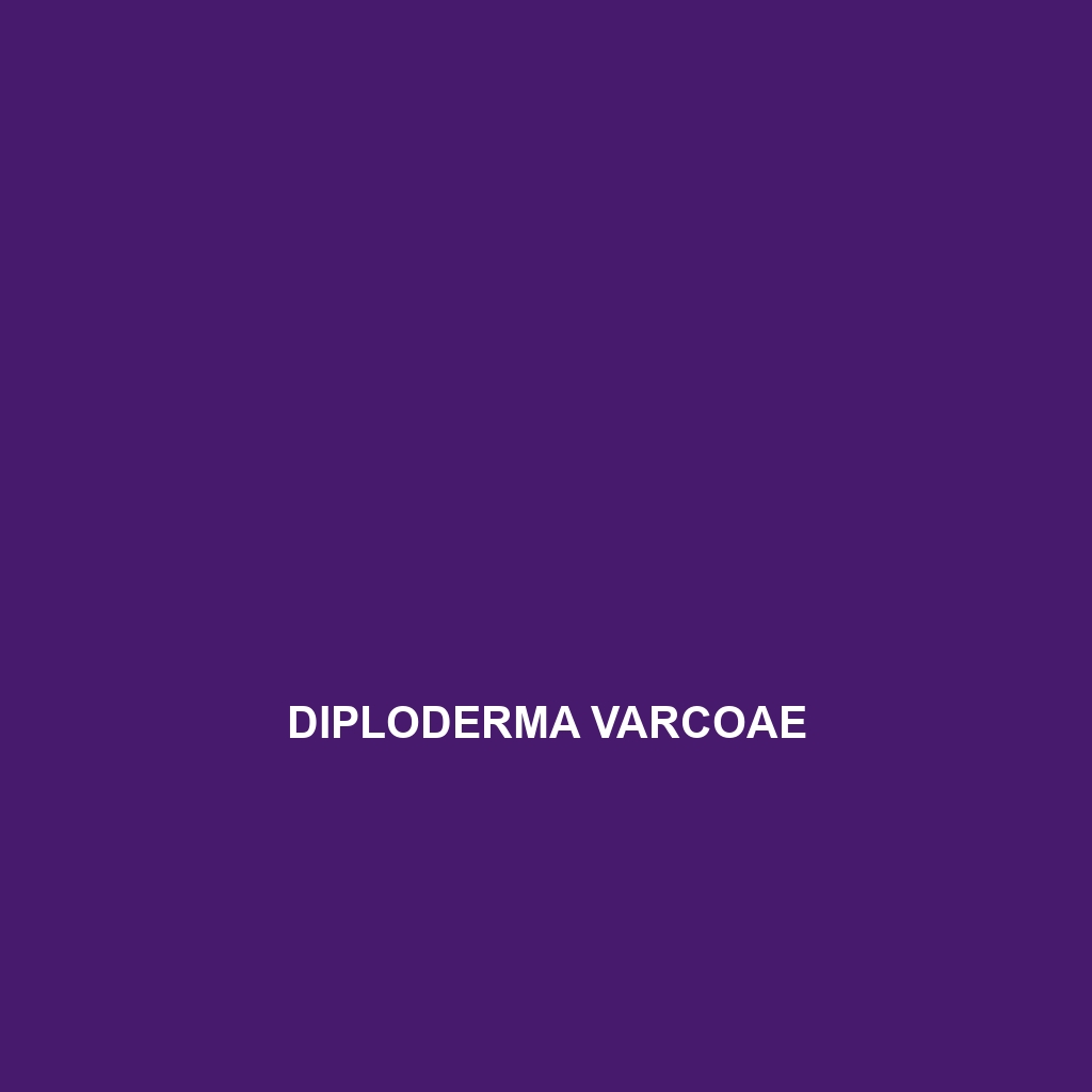 Diploderma varcoae