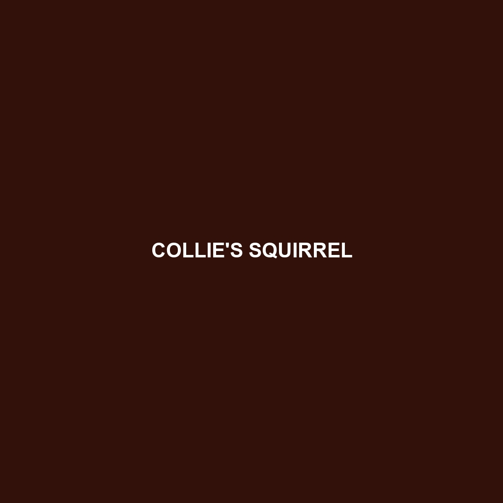 Collie's Squirrel