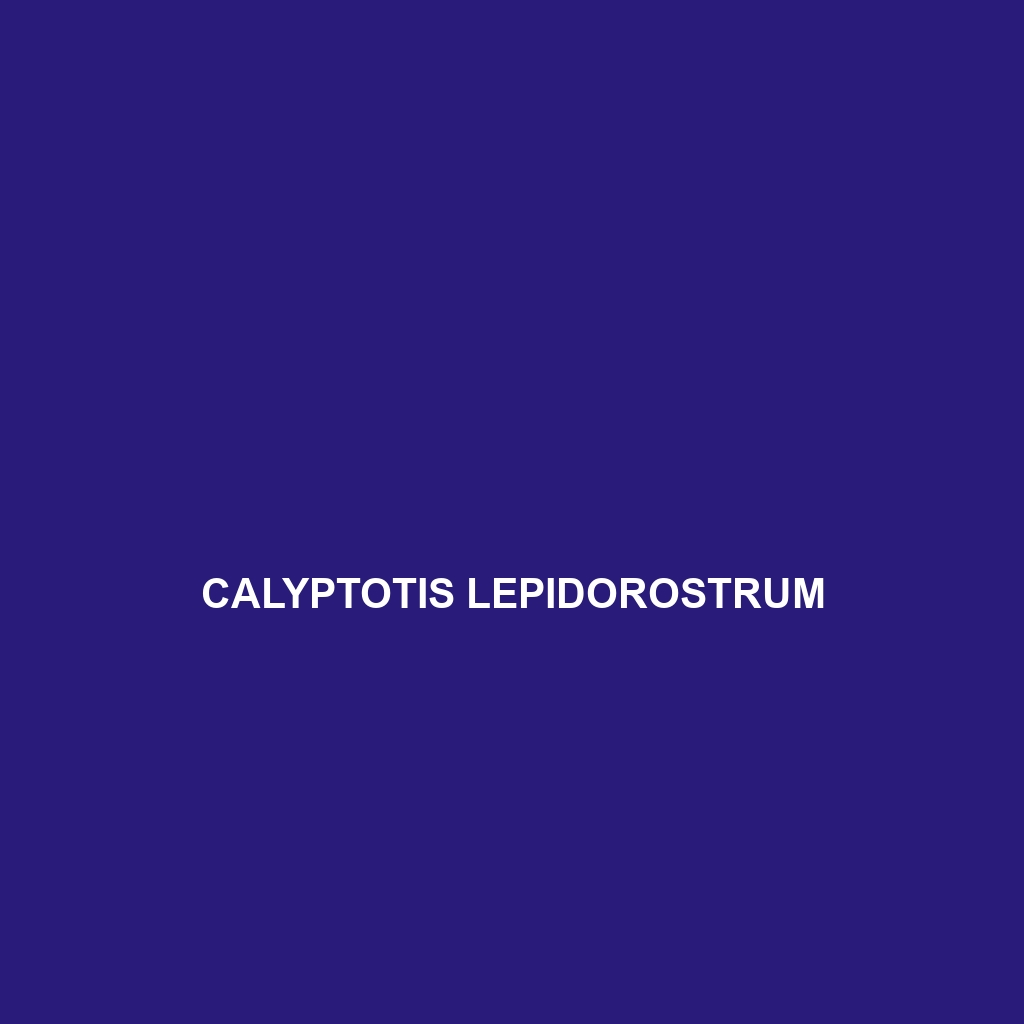 Calyptotis lepidorostrum