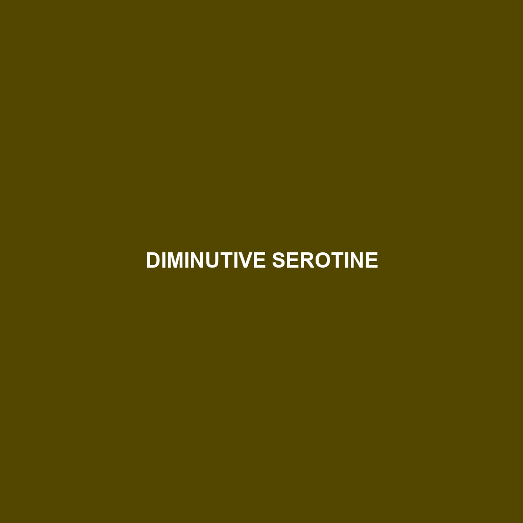 Diminutive Serotine