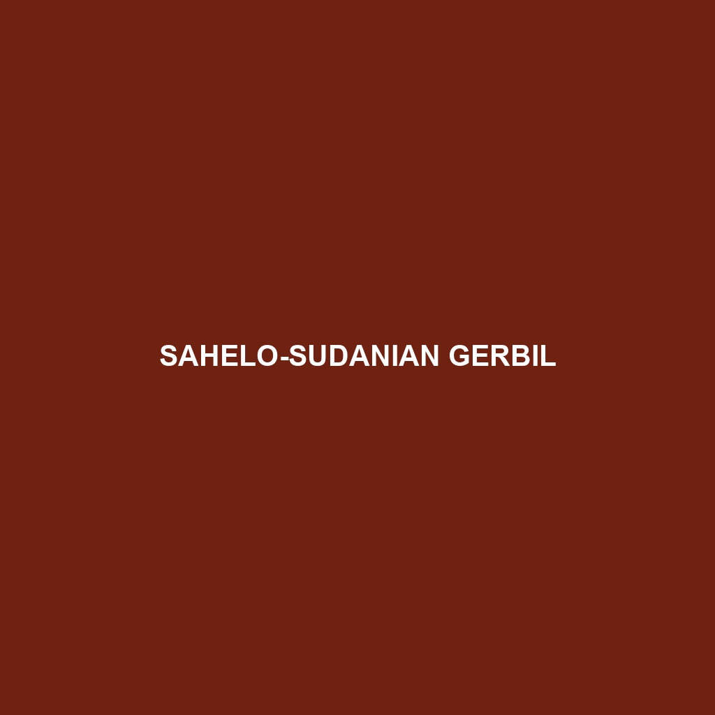 Sahelo-Sudanian Gerbil