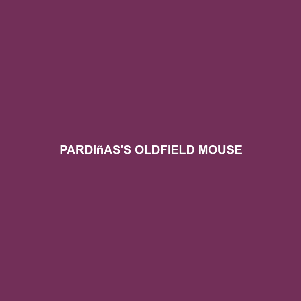 Pardiñas's Oldfield Mouse