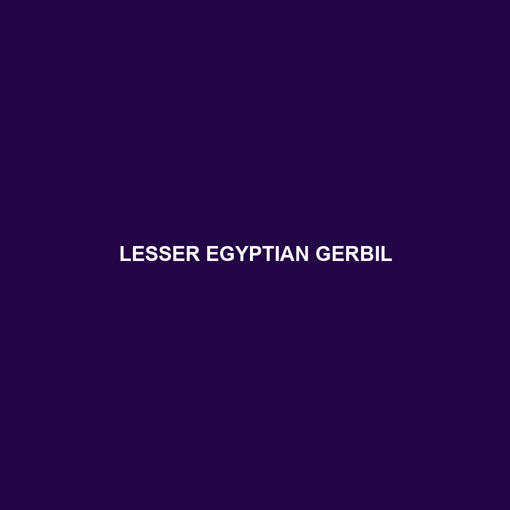 Lesser Egyptian Gerbil