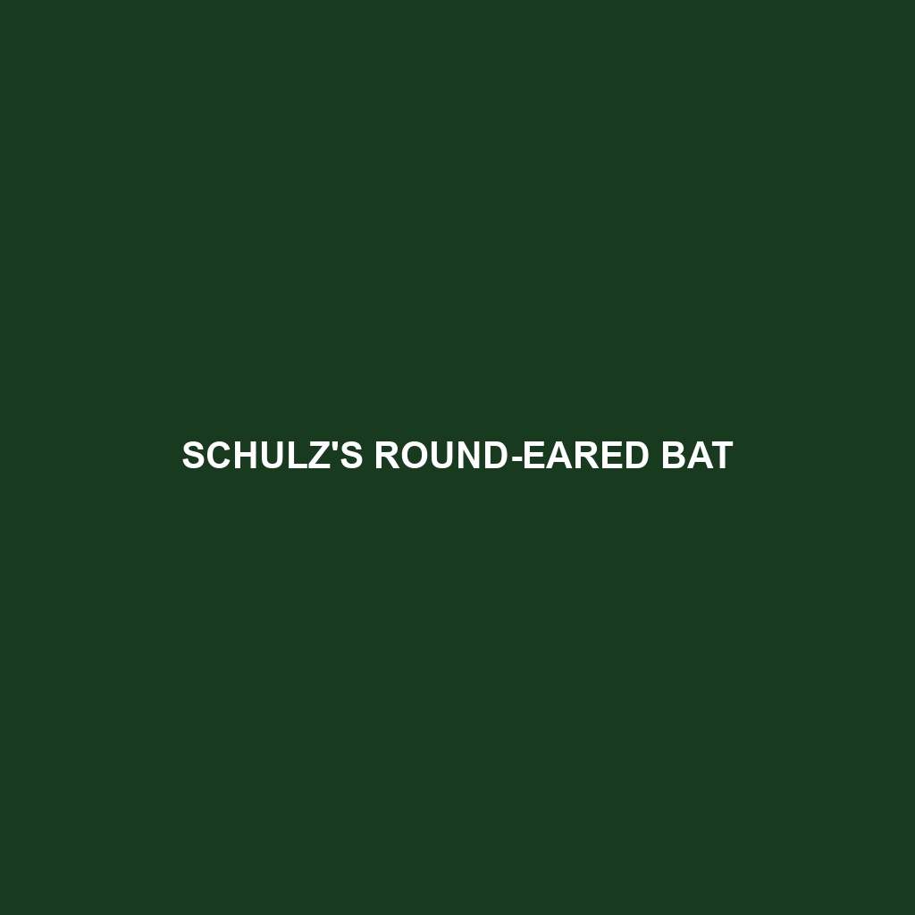 Schulz's Round-eared Bat