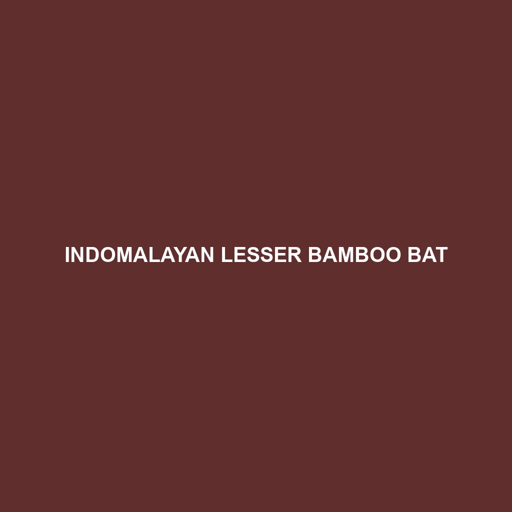 Indomalayan Lesser Bamboo Bat