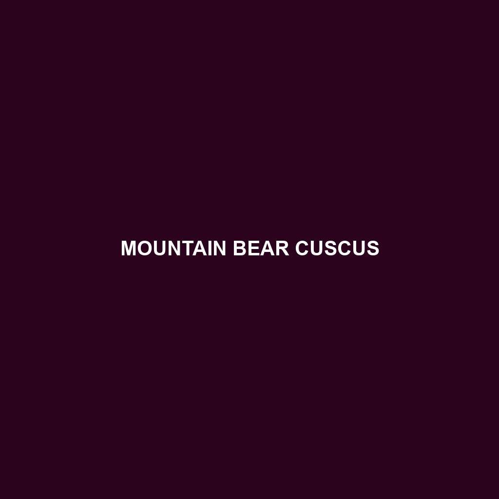 Mountain Bear Cuscus