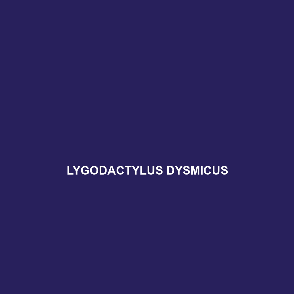 Lygodactylus dysmicus