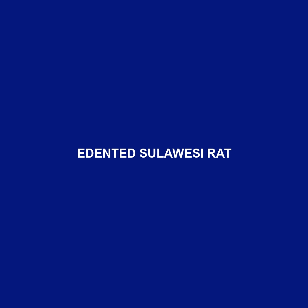 Edented Sulawesi Rat