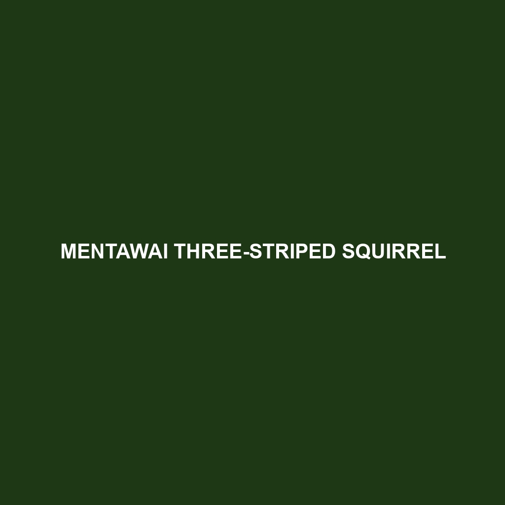 Mentawai Three-striped Squirrel