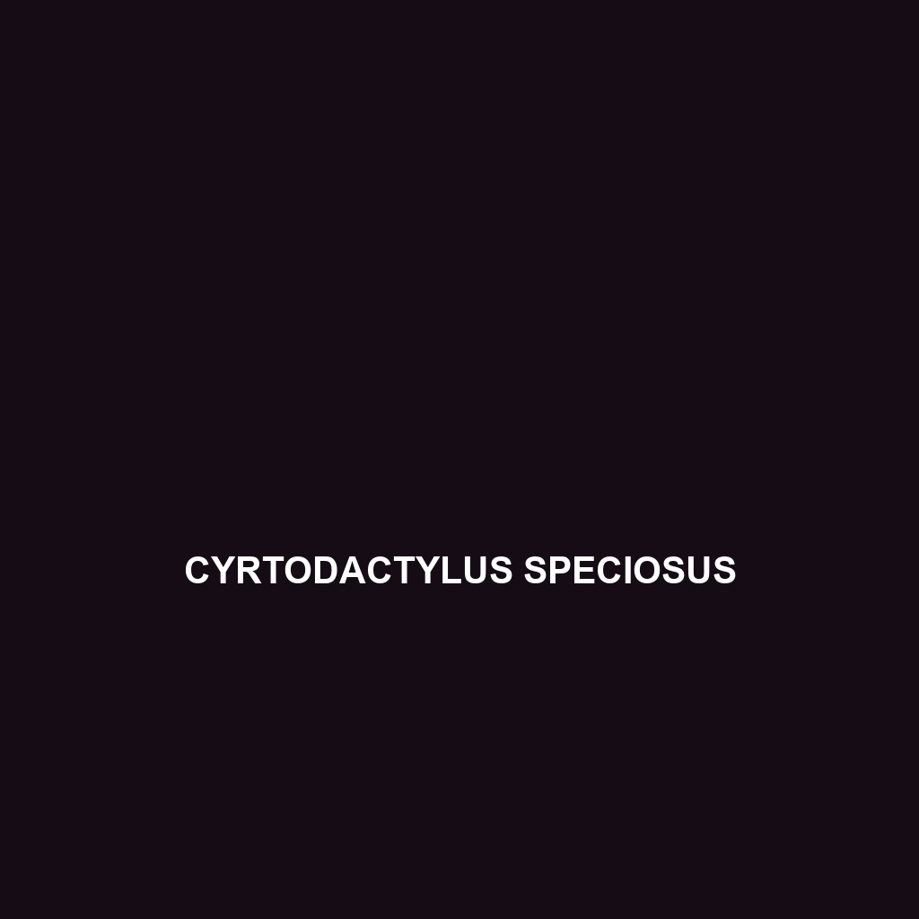 Cyrtodactylus speciosus