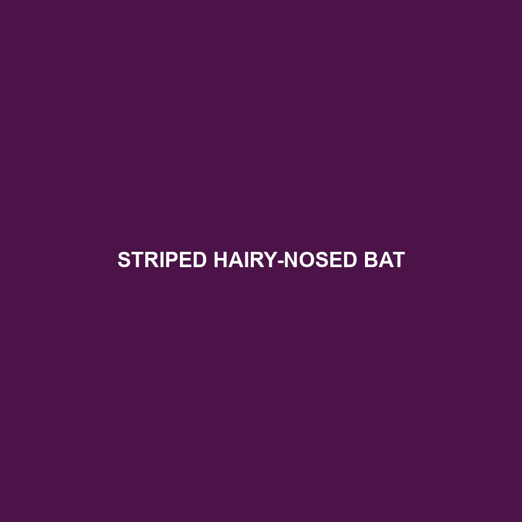 Striped Hairy-nosed Bat