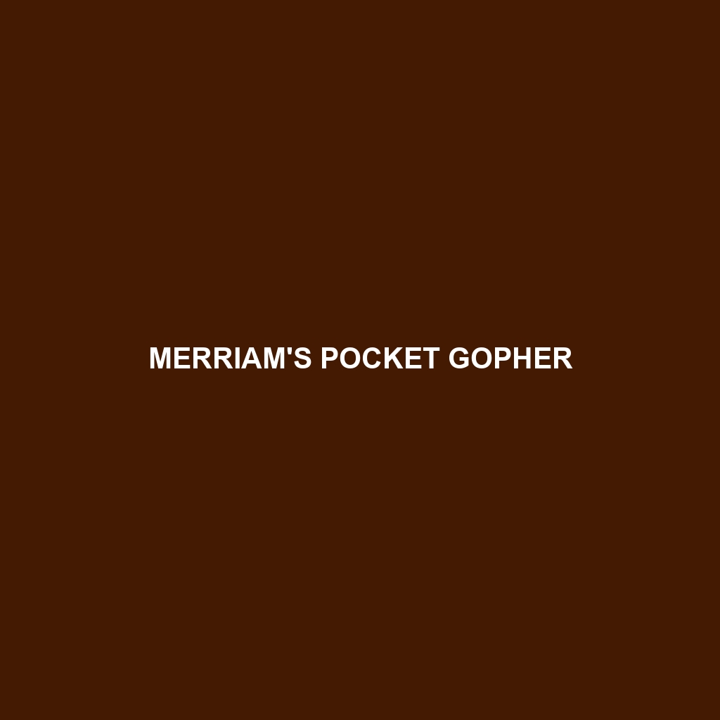 Merriam's Pocket Gopher