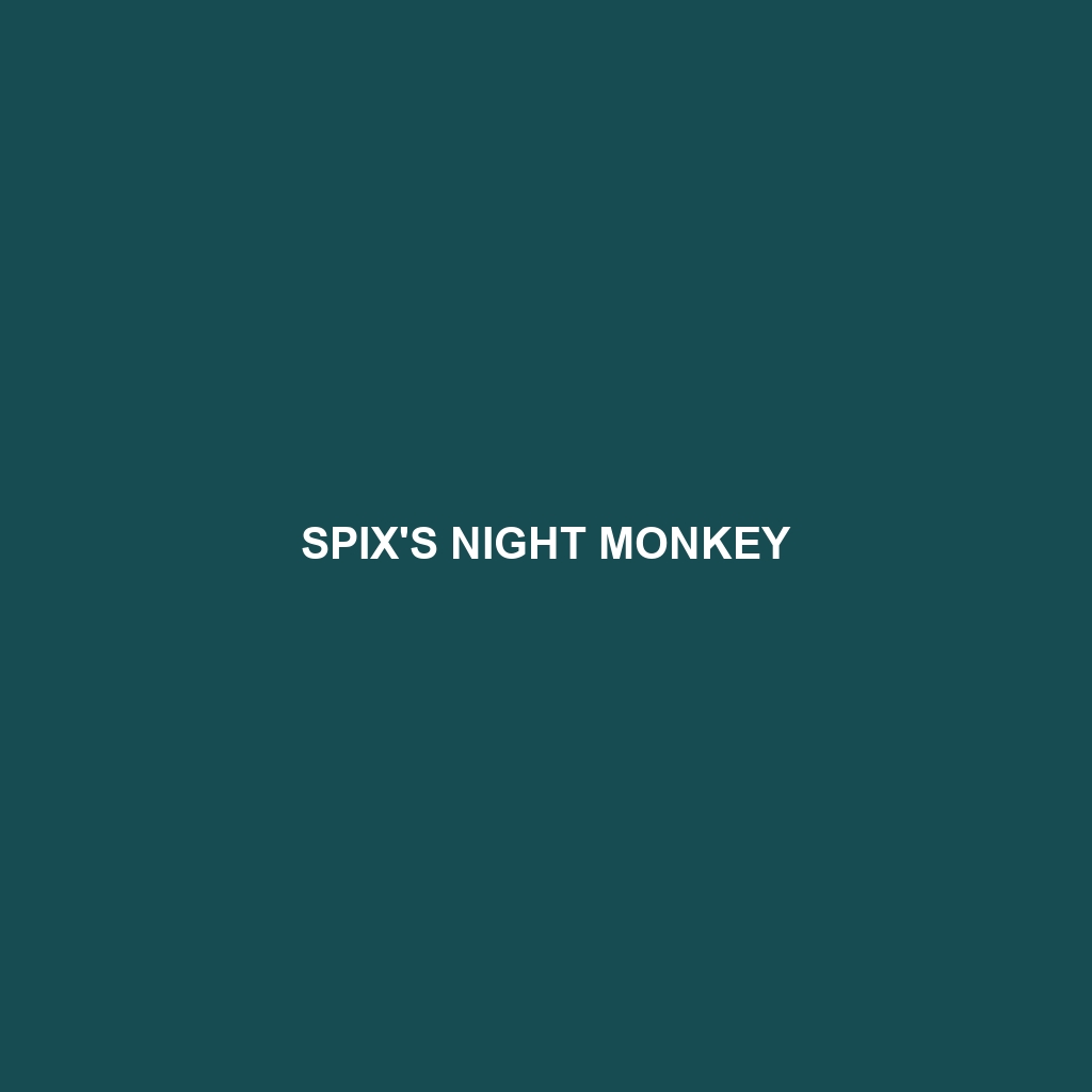 Spix's Night Monkey