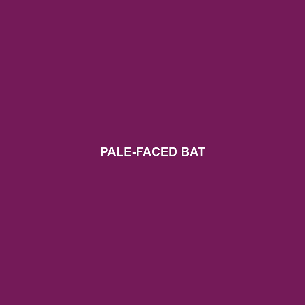 Pale Spear-nosed Bat