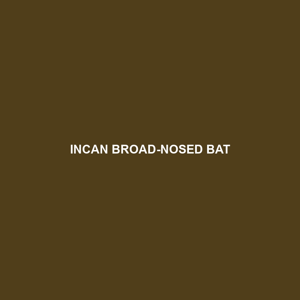 Incan Broad-nosed Bat