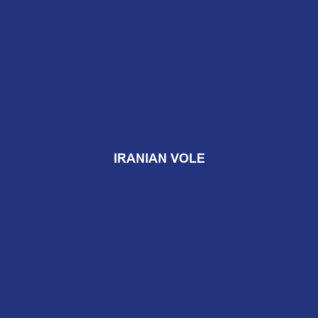 Iranian Vole