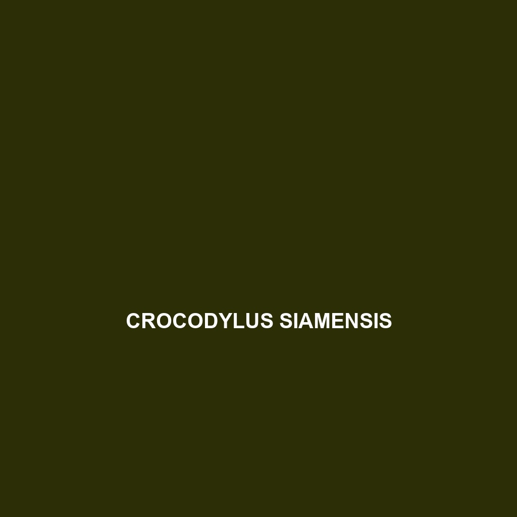 Crocodylus siamensis