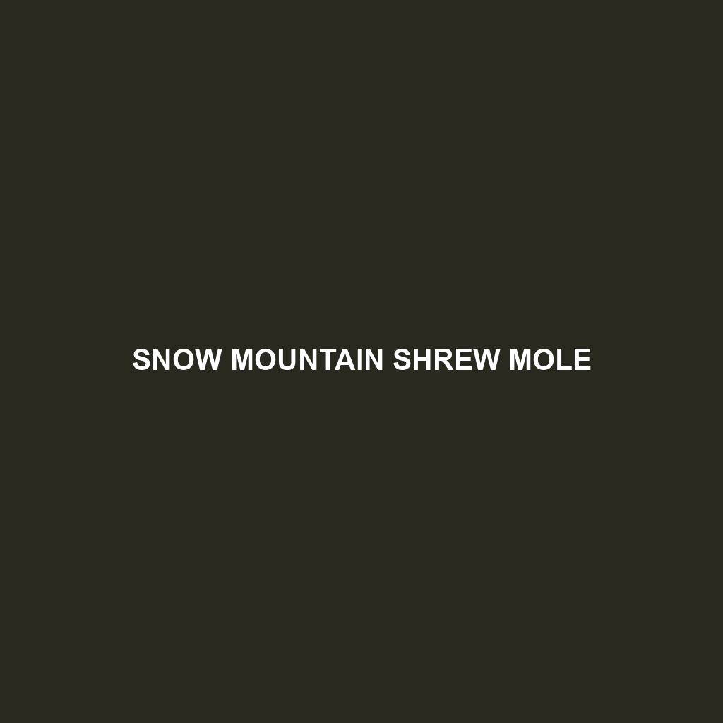 Snow Mountain Shrew Mole