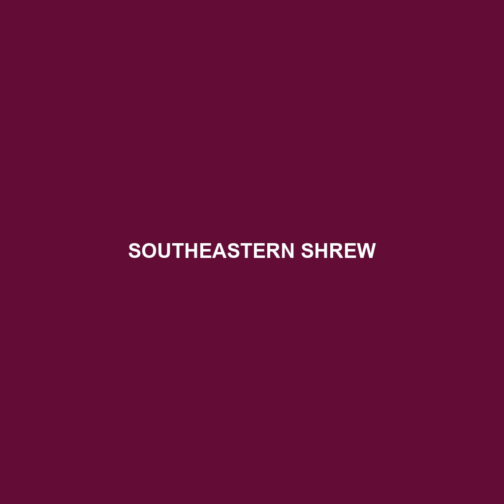 Southeastern Shrew