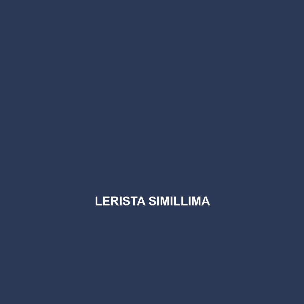 Lerista simillima