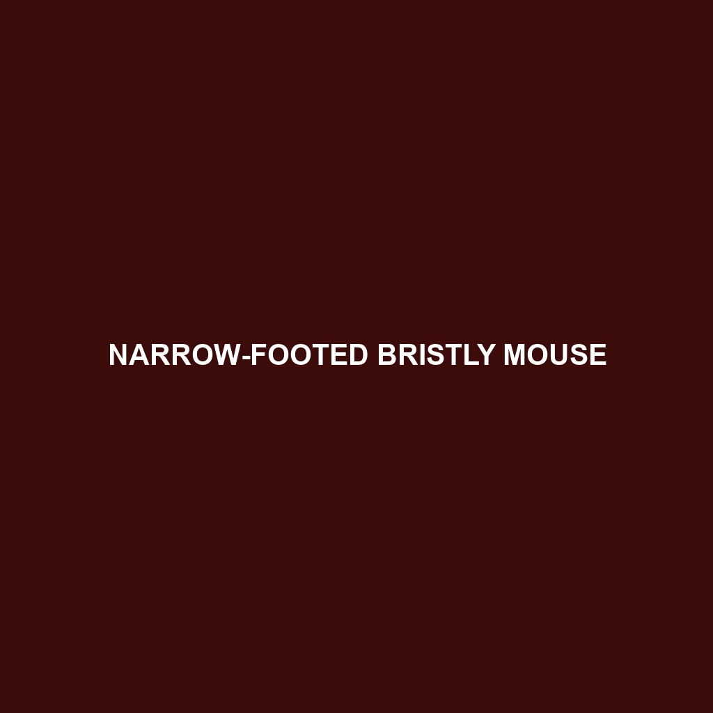 Narrow-footed Bristly Mouse