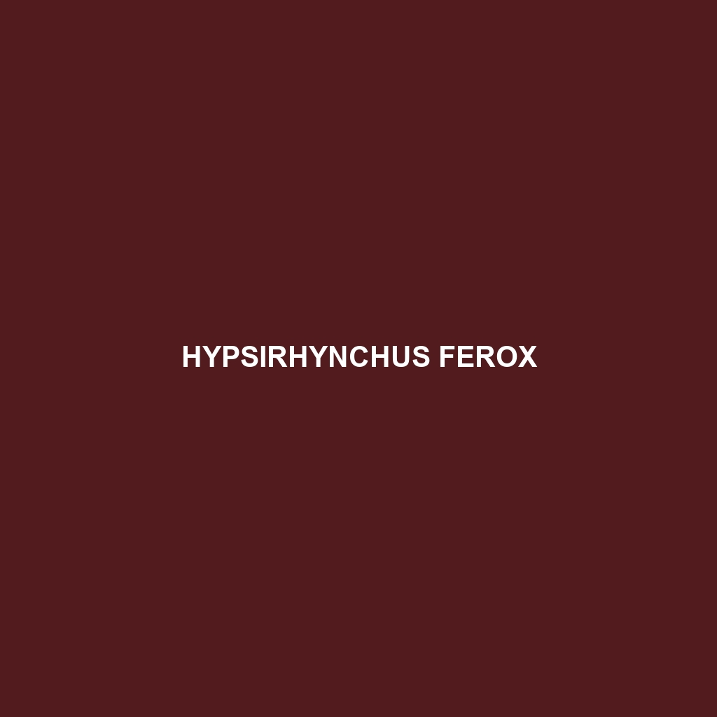 Hypsirhynchus ferox