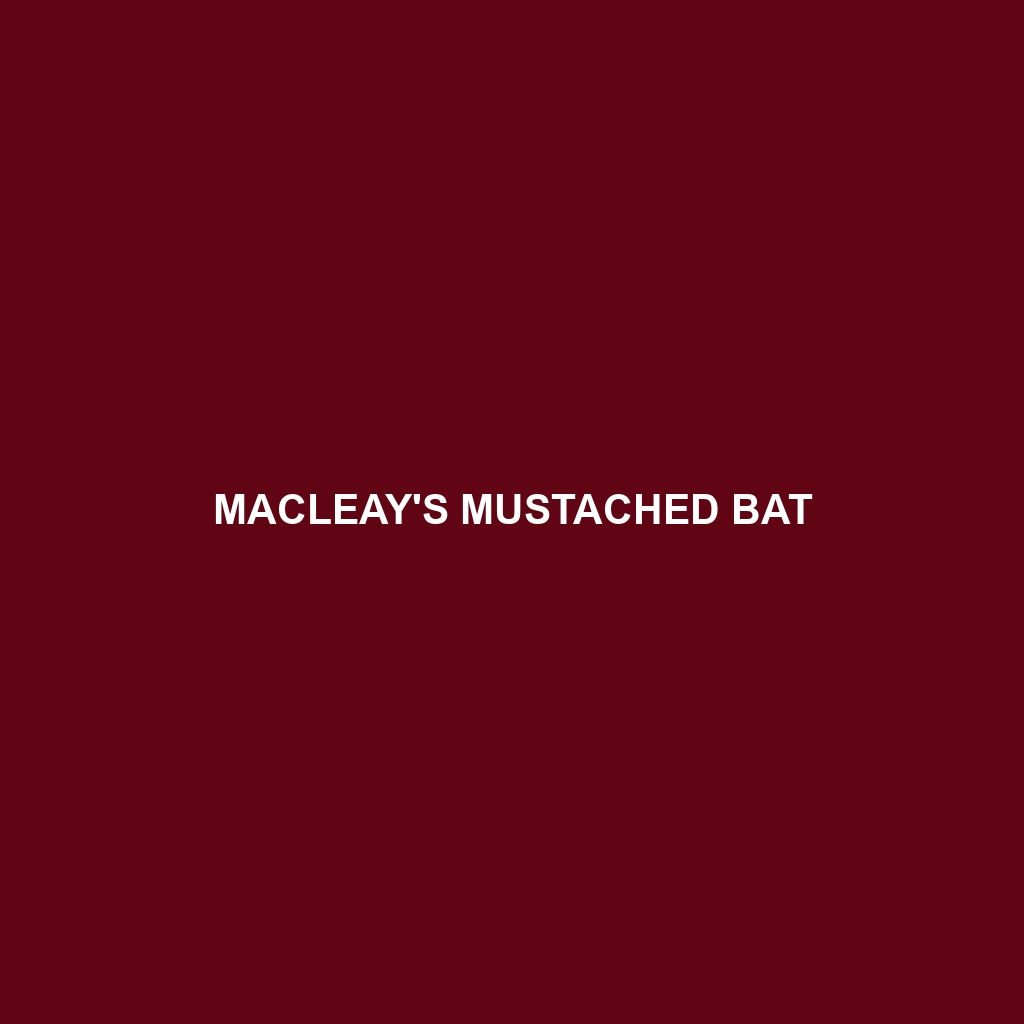 Macleay's Mustached Bat