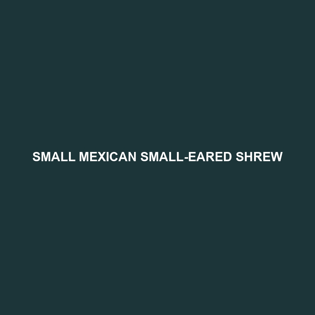 Small Mexican Small-eared Shrew