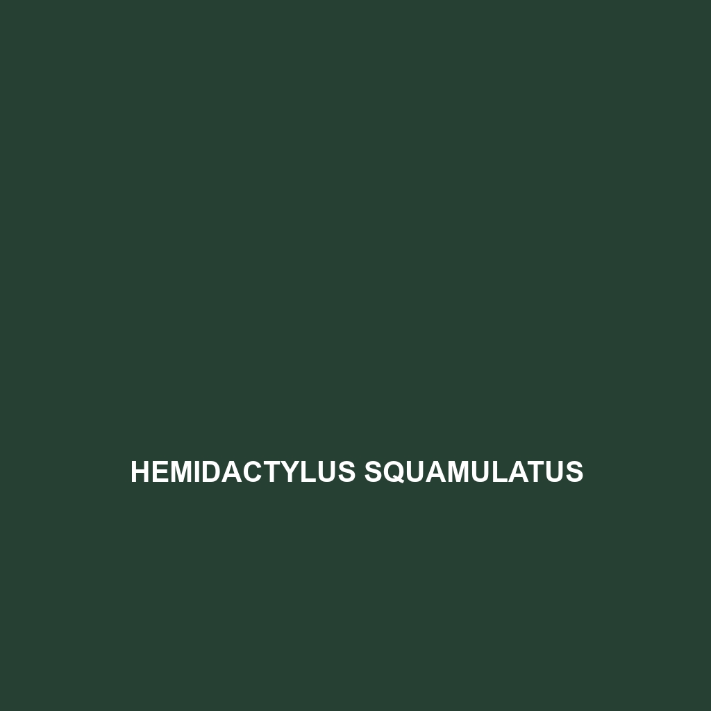 Hemidactylus squamulatus