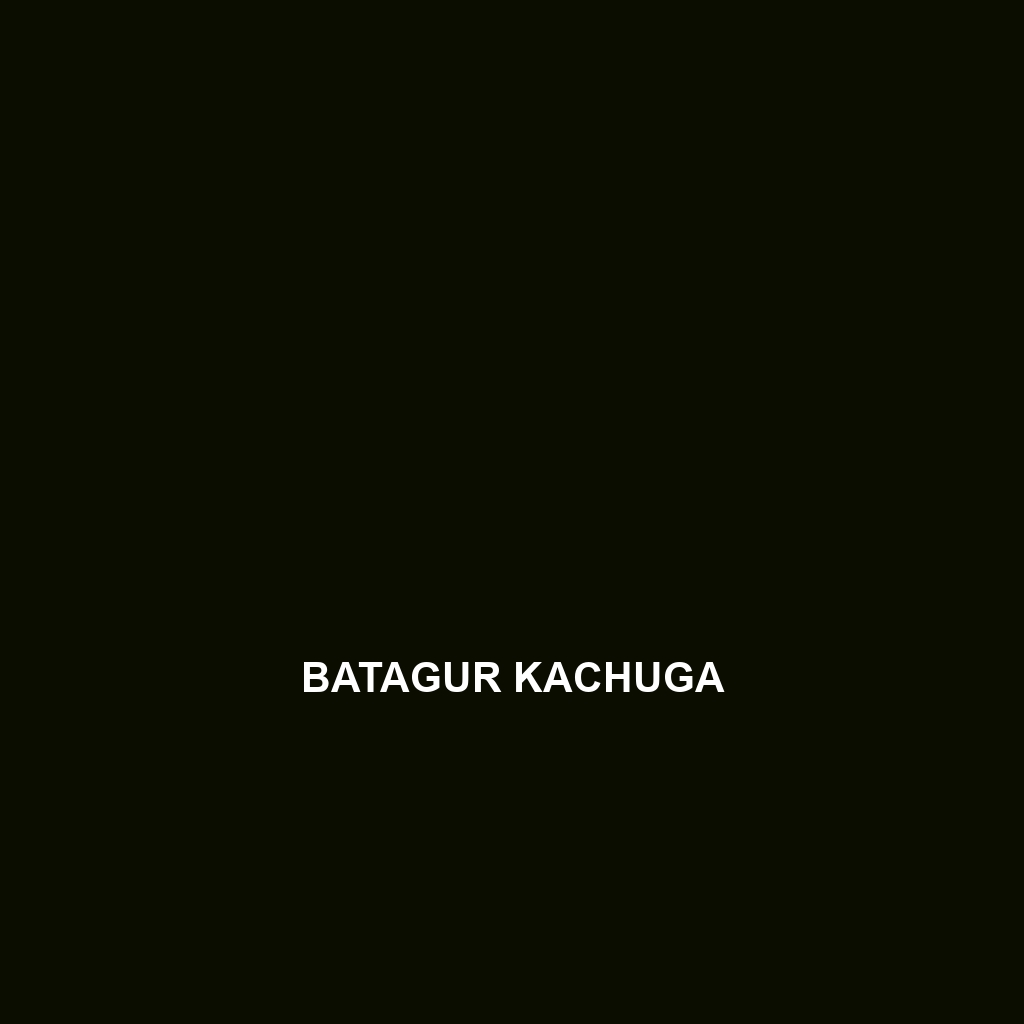 Batagur kachuga