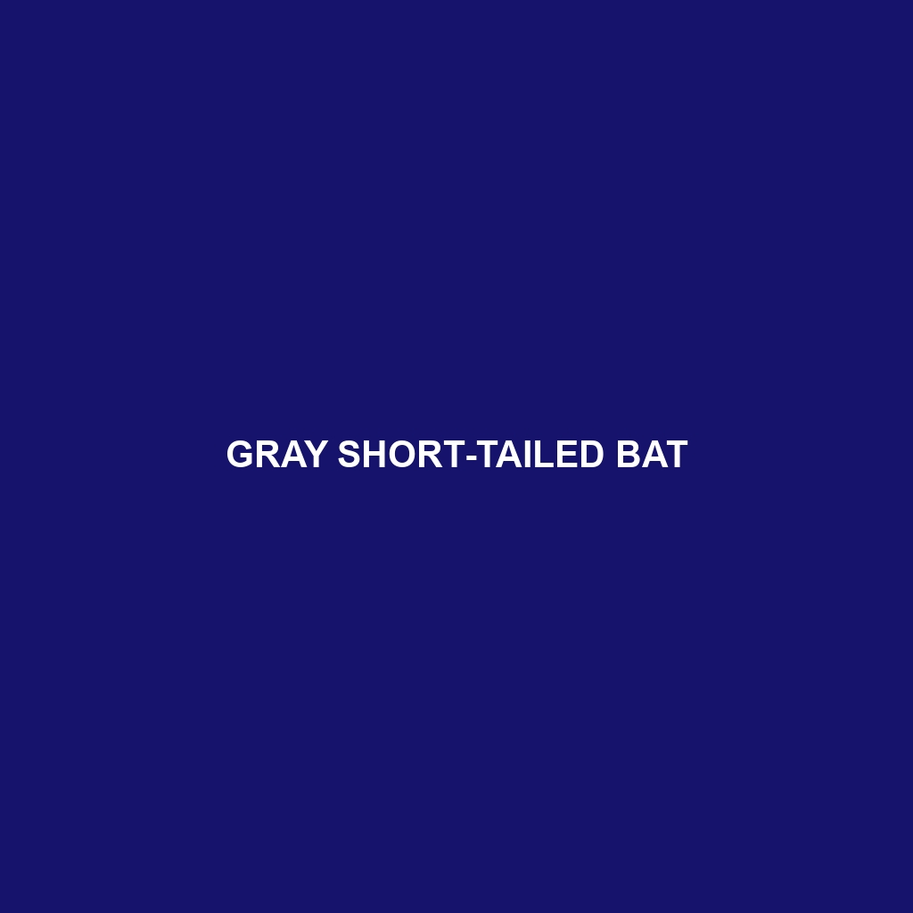 Gray Short-tailed Bat