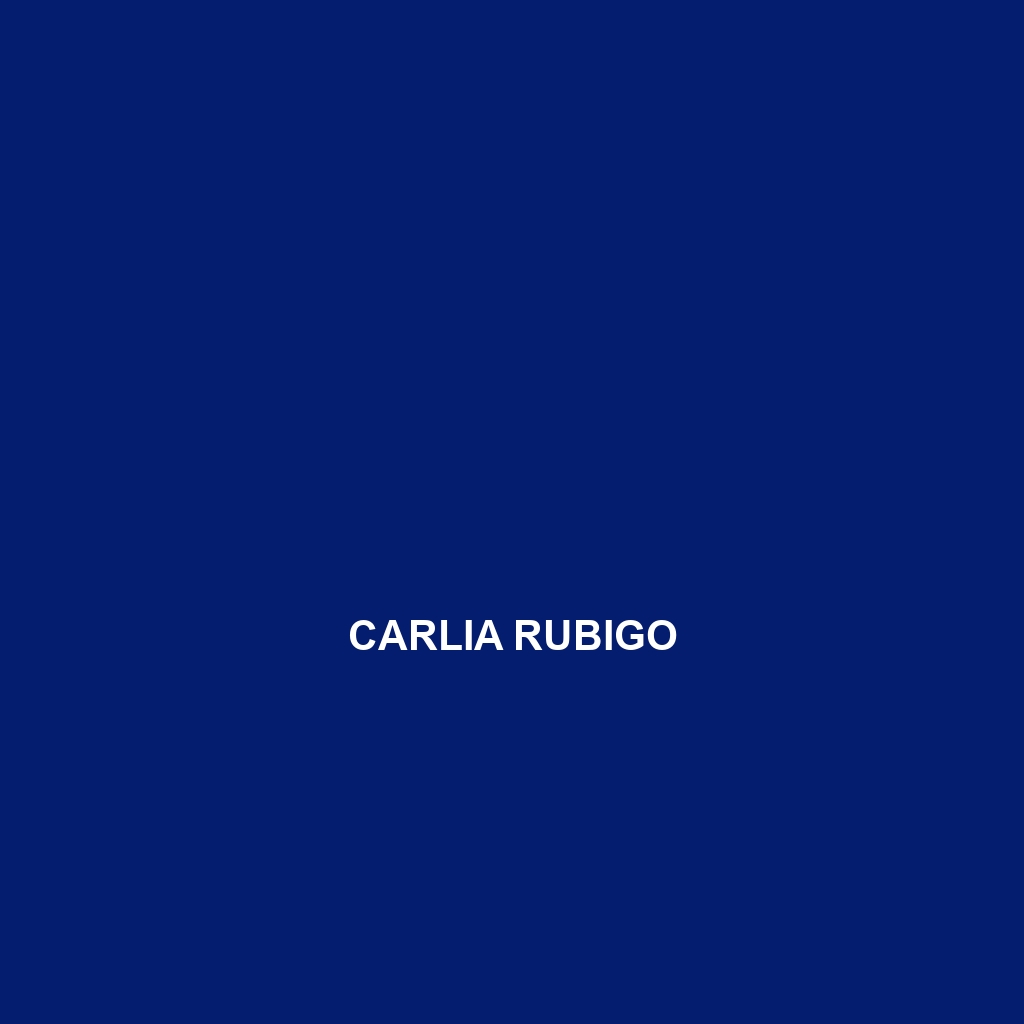 Carlia rubigo