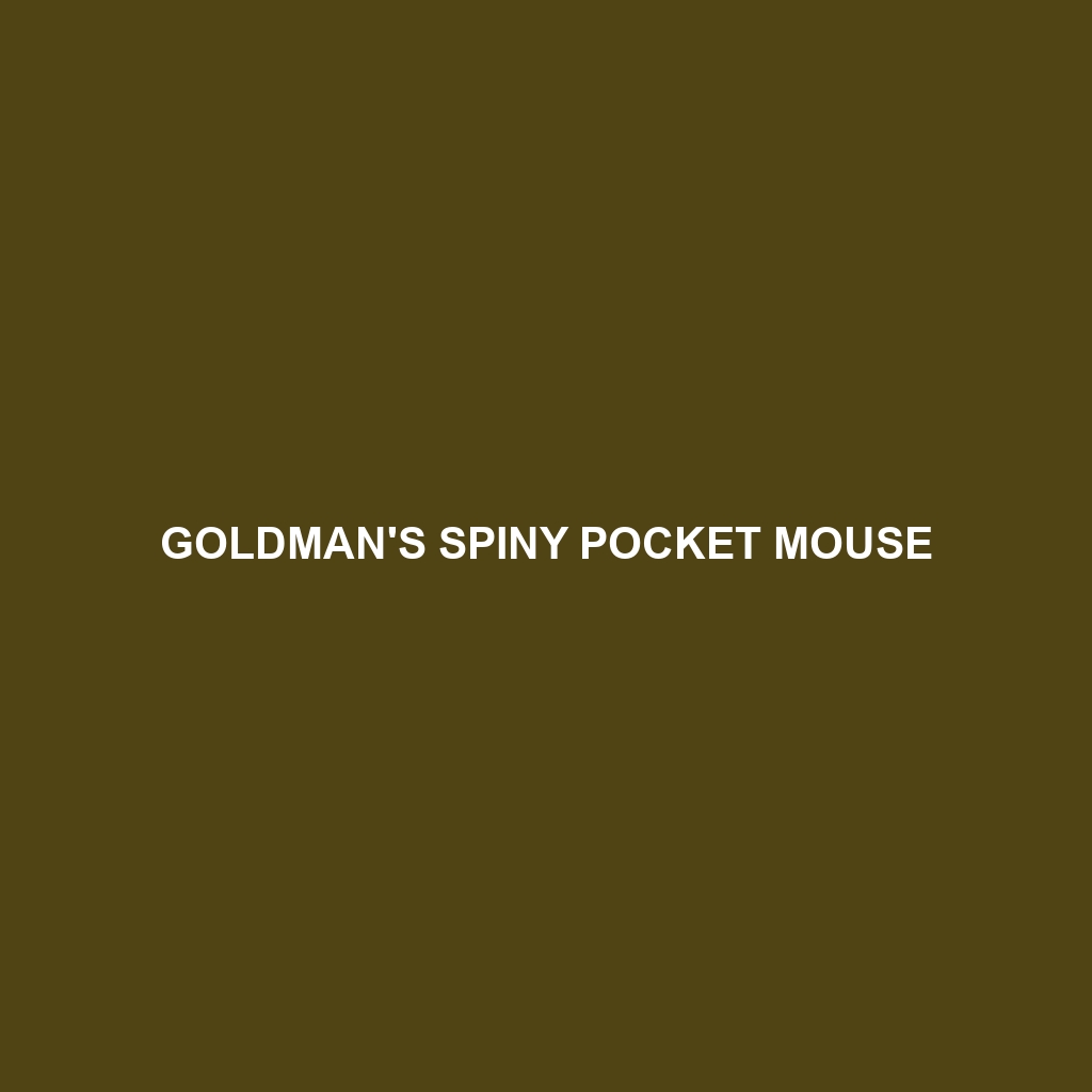 Goldman's Spiny Pocket Mouse