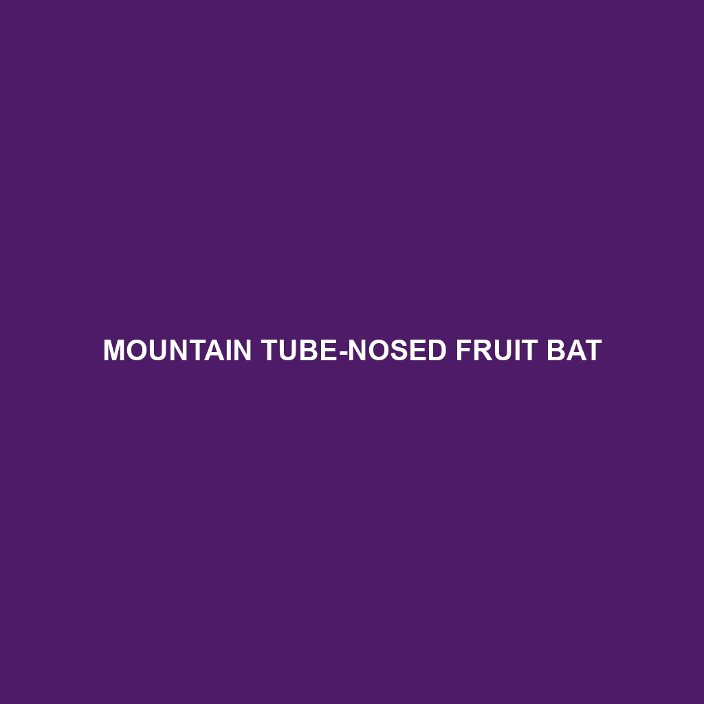 Mountain Tube-nosed Fruit Bat