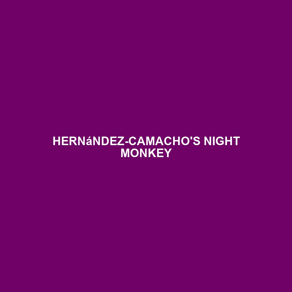 Hernández-Camacho's Night Monkey