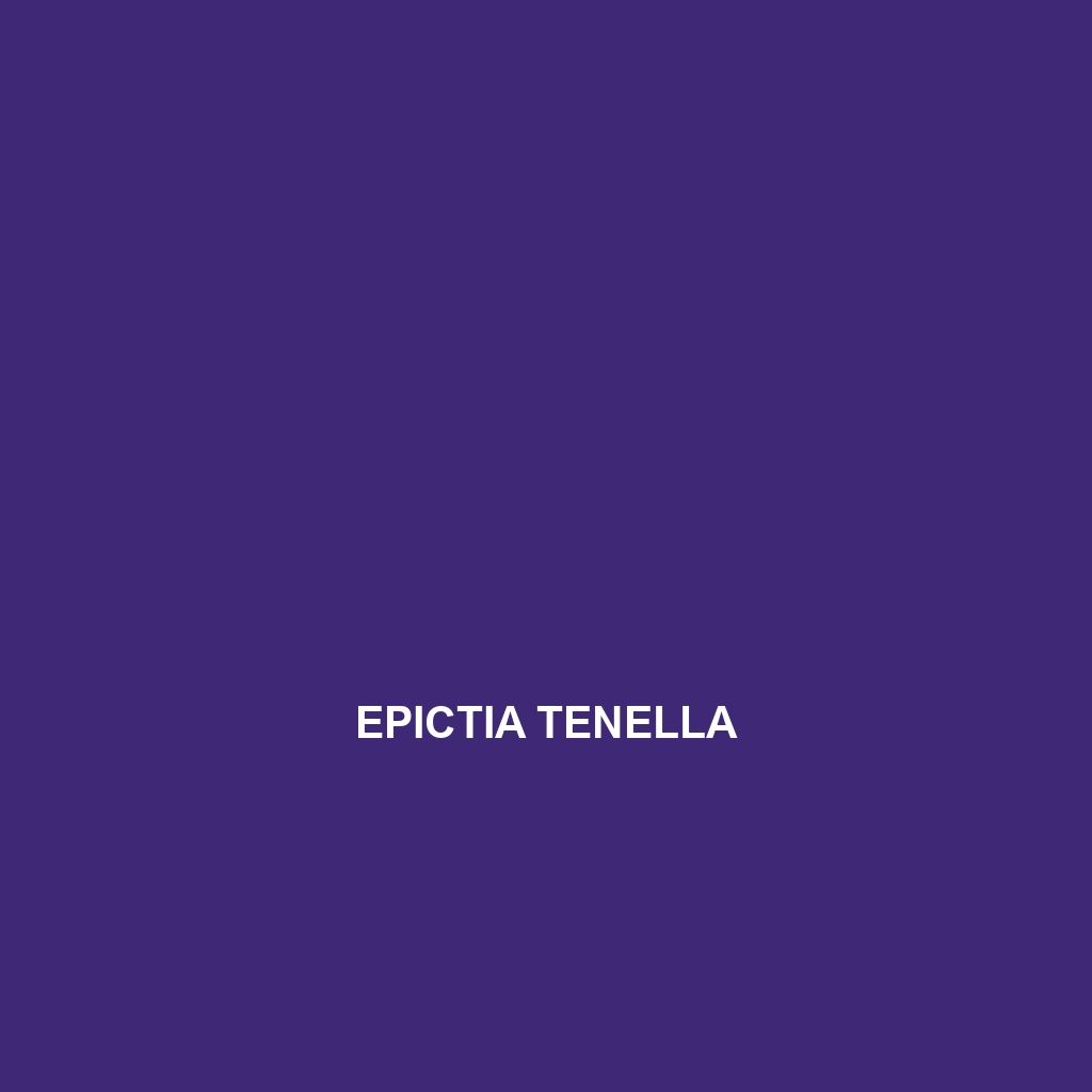 Epictia tenella