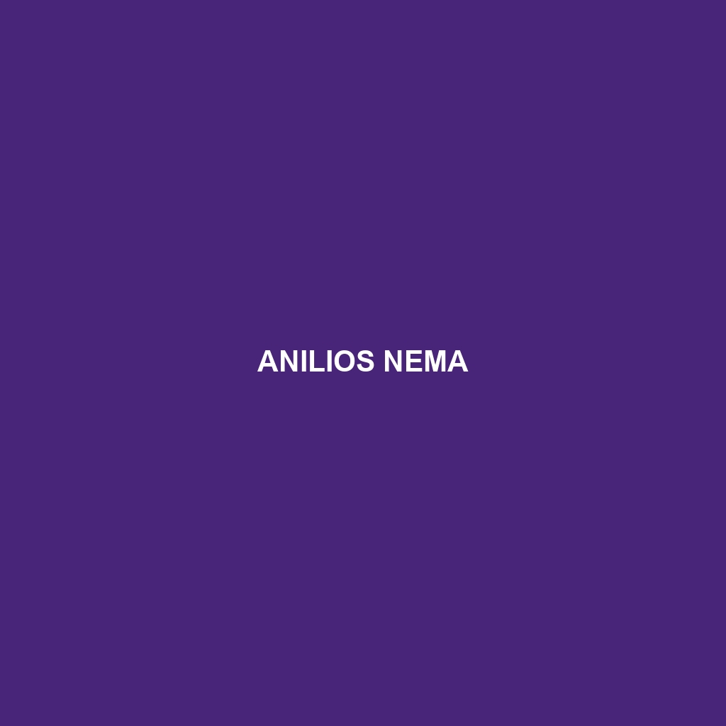 Anilios nema