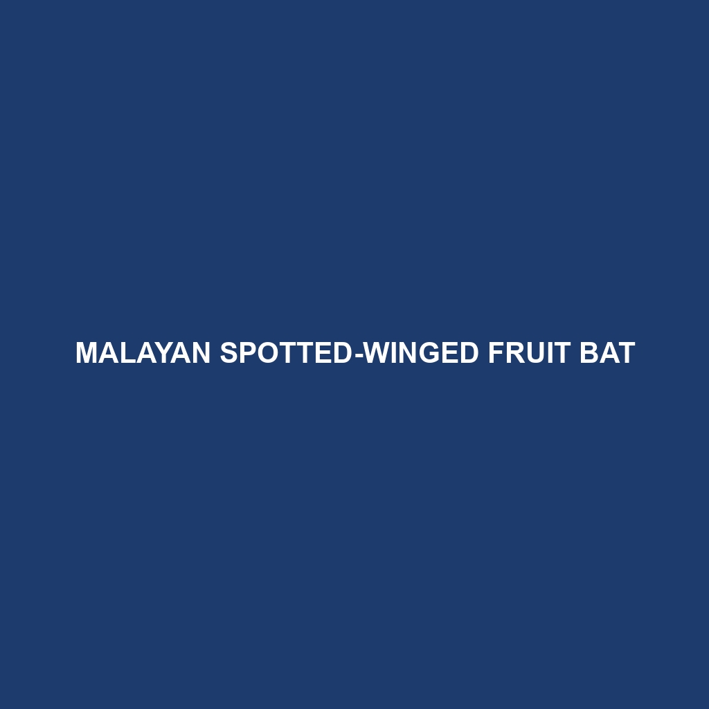 Malayan Spotted-winged Fruit Bat