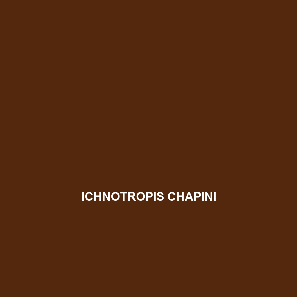 Ichnotropis chapini