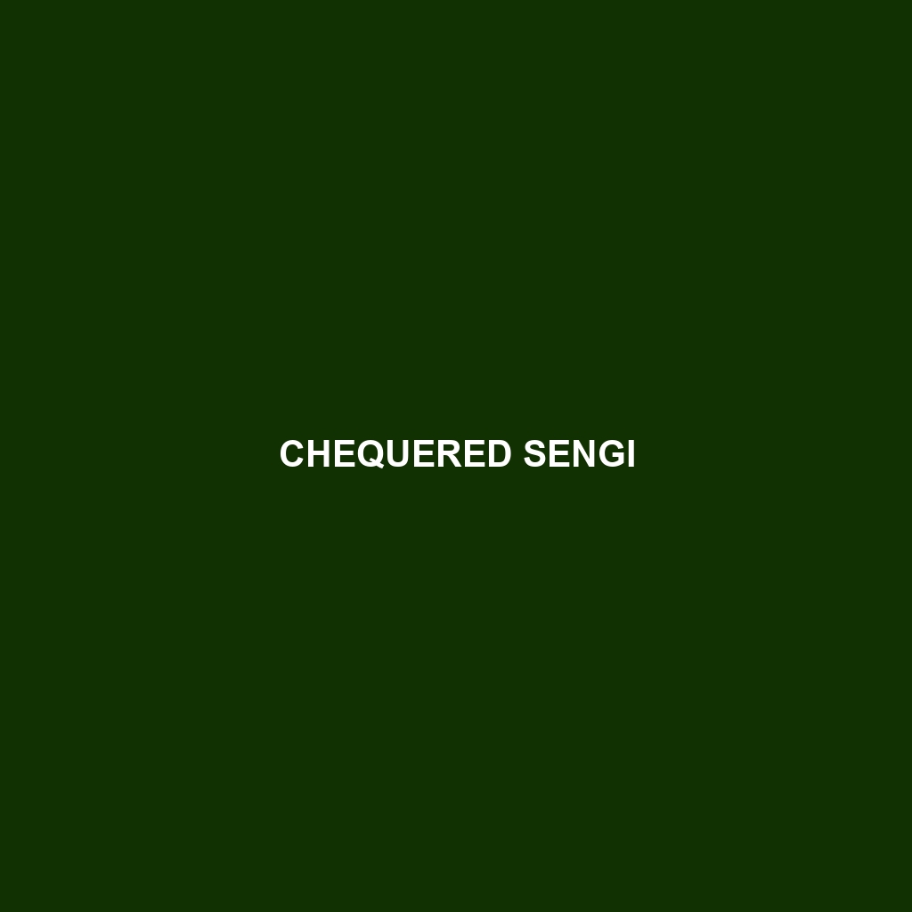 Chequered Sengi