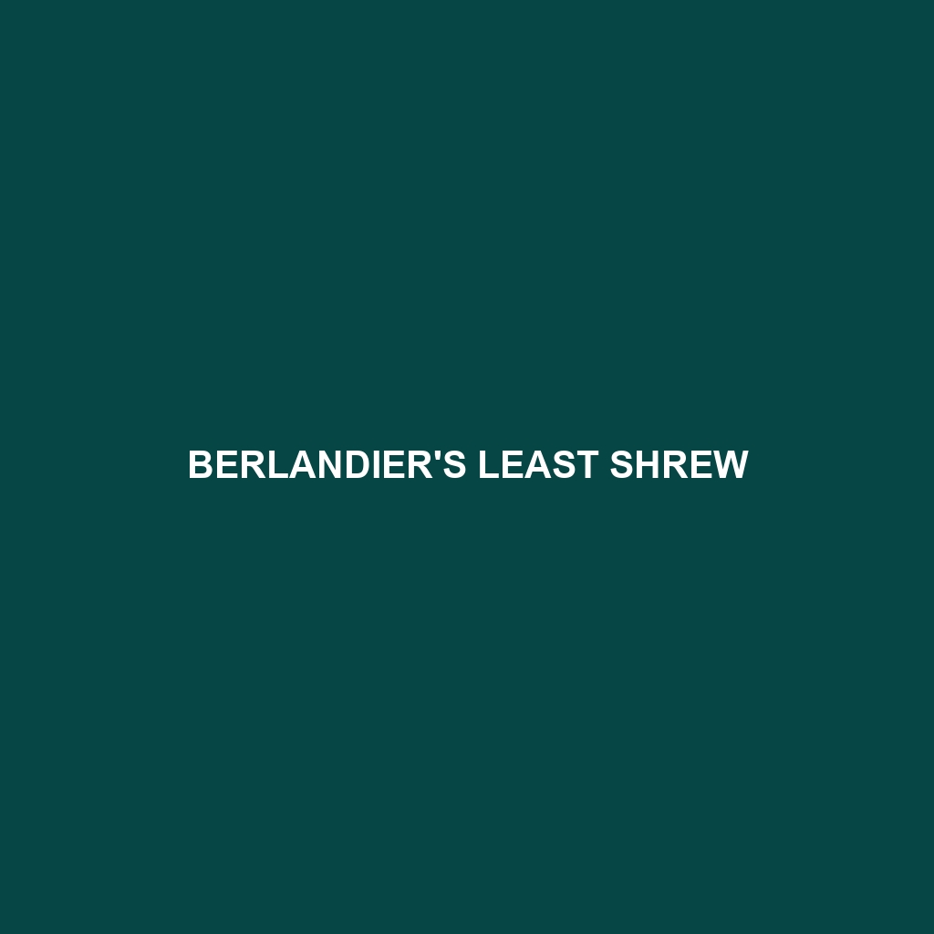 Berlandier's Least Shrew