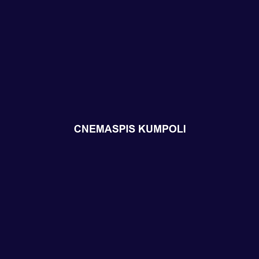 Cnemaspis kumpoli