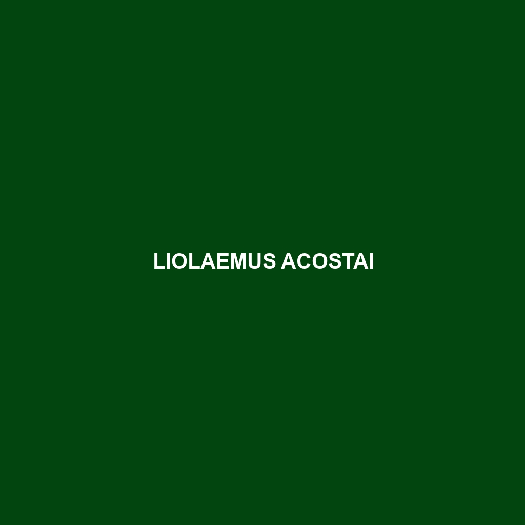 Liolaemus acostai